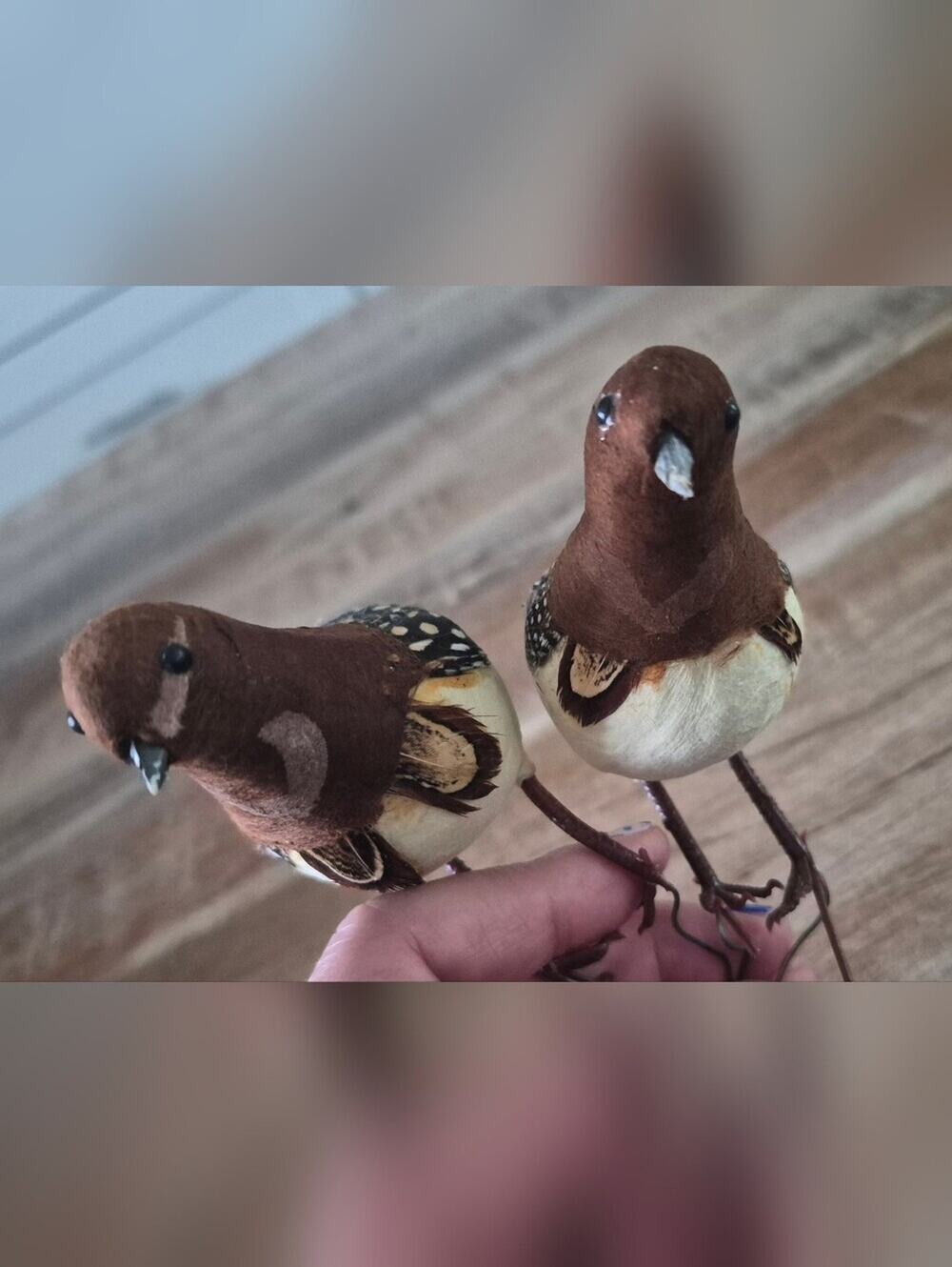 Set of 2 Decorative Brown & Cream Artificial Bird Figurines - Rustic Home Decor